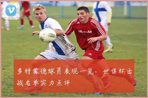多特蒙德球员表现一览，世俱杯出战名单实力点评