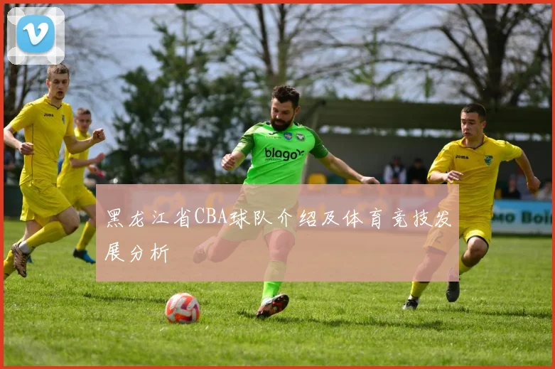 黑龙江省CBA球队介绍及体育竞技发展分析
