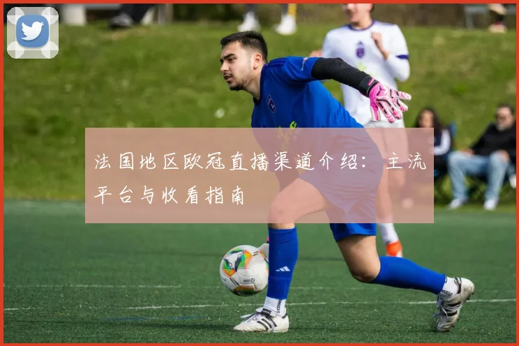 法国地区欧冠直播渠道介绍：主流平台与收看指南