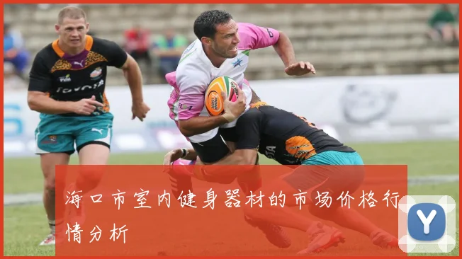 海口市室内健身器材的市场价格行情分析